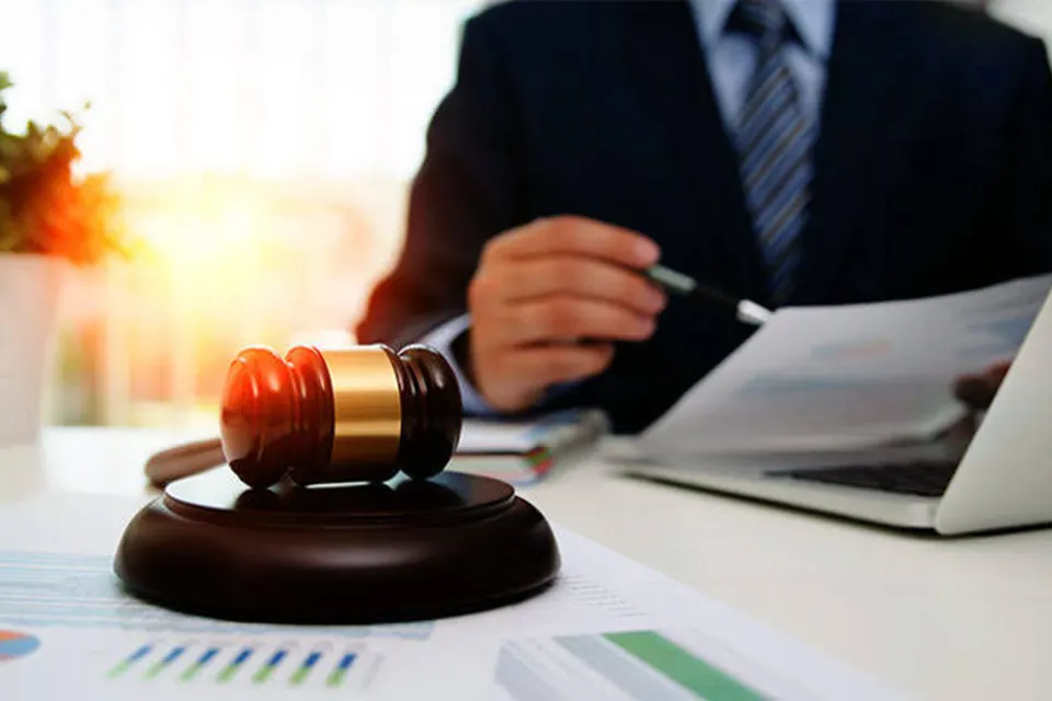 Litigation support investigation